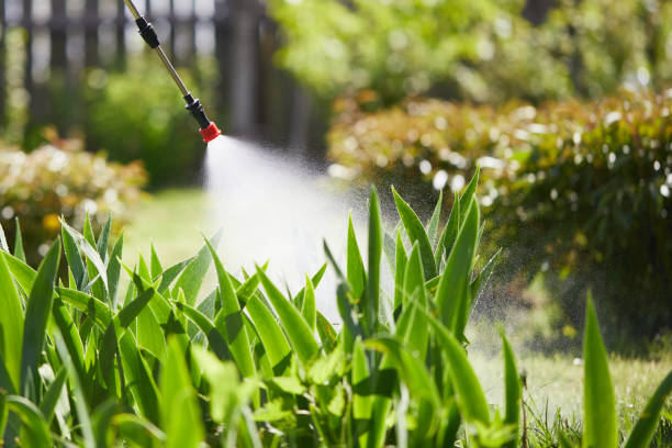 Tamper-Resistant Bait Stations for Rodents in Elroy