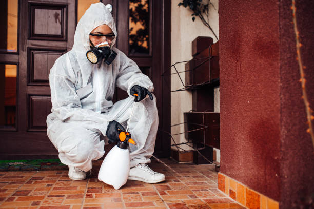 Attic and Crawl Space Rodent Treatment in Elroy
