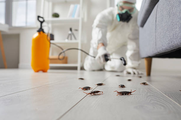 Commercial Rodent Management in Elroy